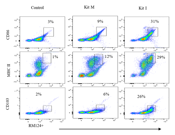 fortune-biomass-feedstock