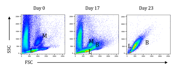 fortune-biomass-feedstock