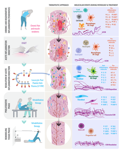 fortune-biomass-feedstock