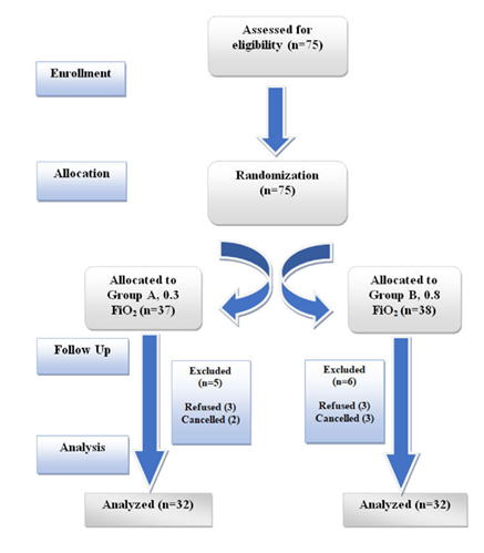 fortune-biomass-feedstock