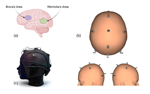 fortune-biomass-feedstock