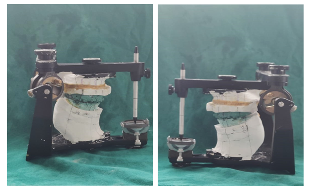 fortune-biomass-feedstock fortune-biomass-feedstock