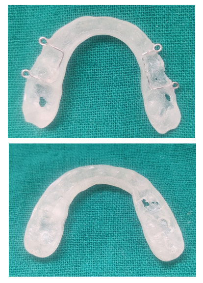 fortune-biomass-feedstock fortune-biomass-feedstock