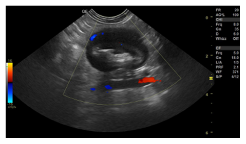 fortune-biomass-feedstock fortune-biomass-feedstock