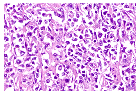 fortune-biomass-feedstock fortune-biomass-feedstock