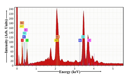 fortune-biomass-feedstock