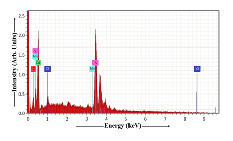 fortune-biomass-feedstock