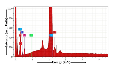 fortune-biomass-feedstock