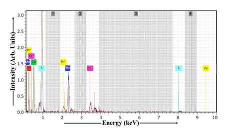 fortune-biomass-feedstock
