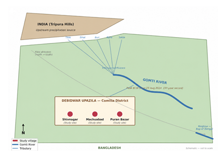 fortune-biomass-feedstock