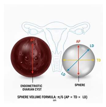 fortune-biomass-feedstock fortune-biomass-feedstock