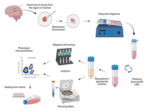 fortune-biomass-feedstock