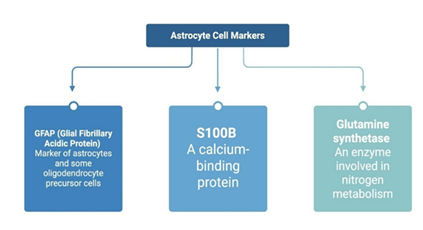 fortune-biomass-feedstock