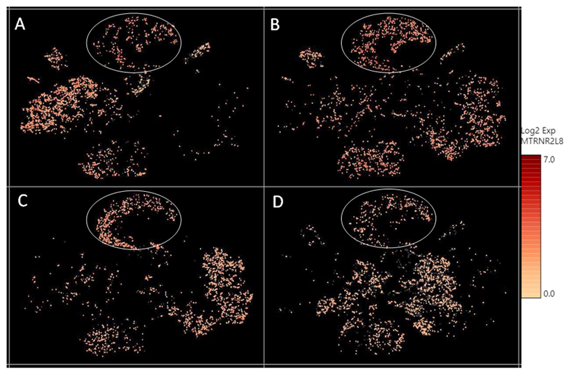 fortune-biomass-feedstock