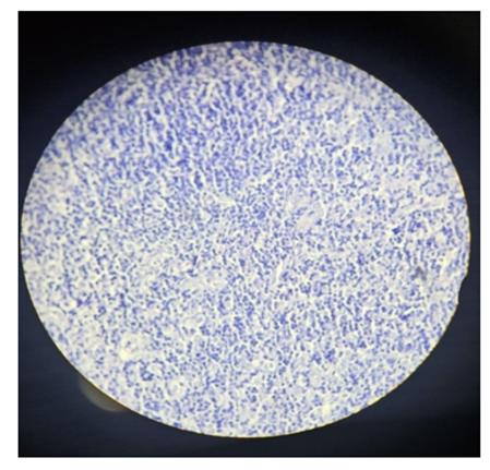 fortune-biomass-feedstock fortune-biomass-feedstock