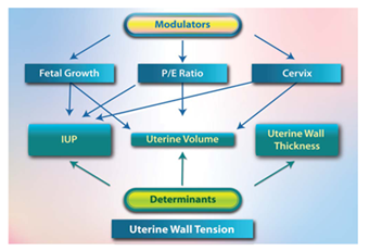 fortune-biomass-feedstock