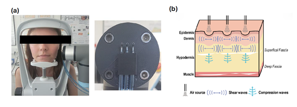 fortune-biomass-feedstock