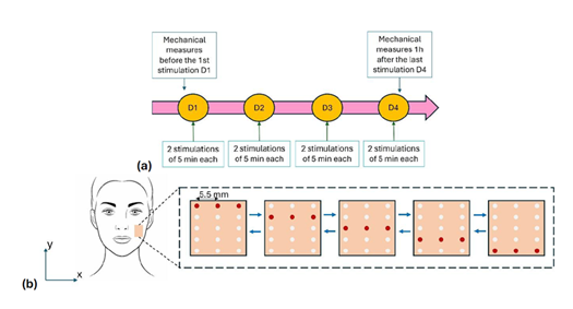 fortune-biomass-feedstock