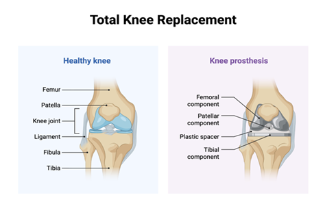 fortune-biomass-feedstock fortune-biomass-feedstock
