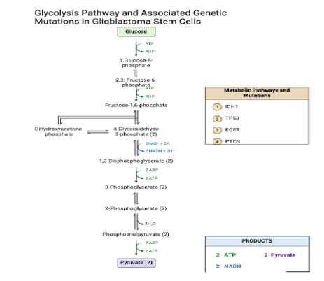 fortune-biomass-feedstock