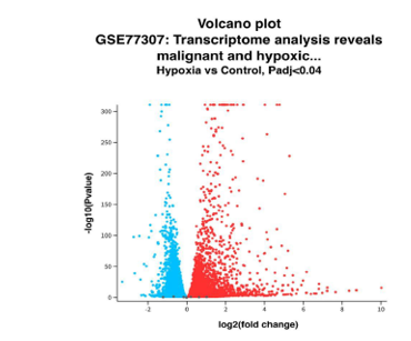 fortune-biomass-feedstock