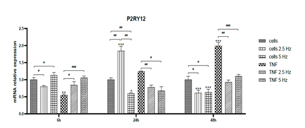 fortune-biomass-feedstock