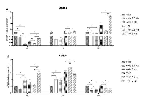 fortune-biomass-feedstock