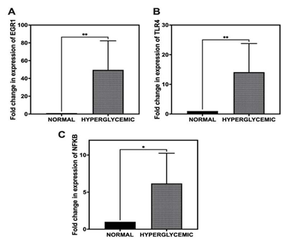 fortune-biomass-feedstock