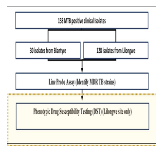 fortune-biomass-feedstock