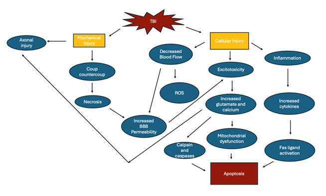 fortune-biomass-feedstock
