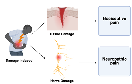 fortune-biomass-feedstock