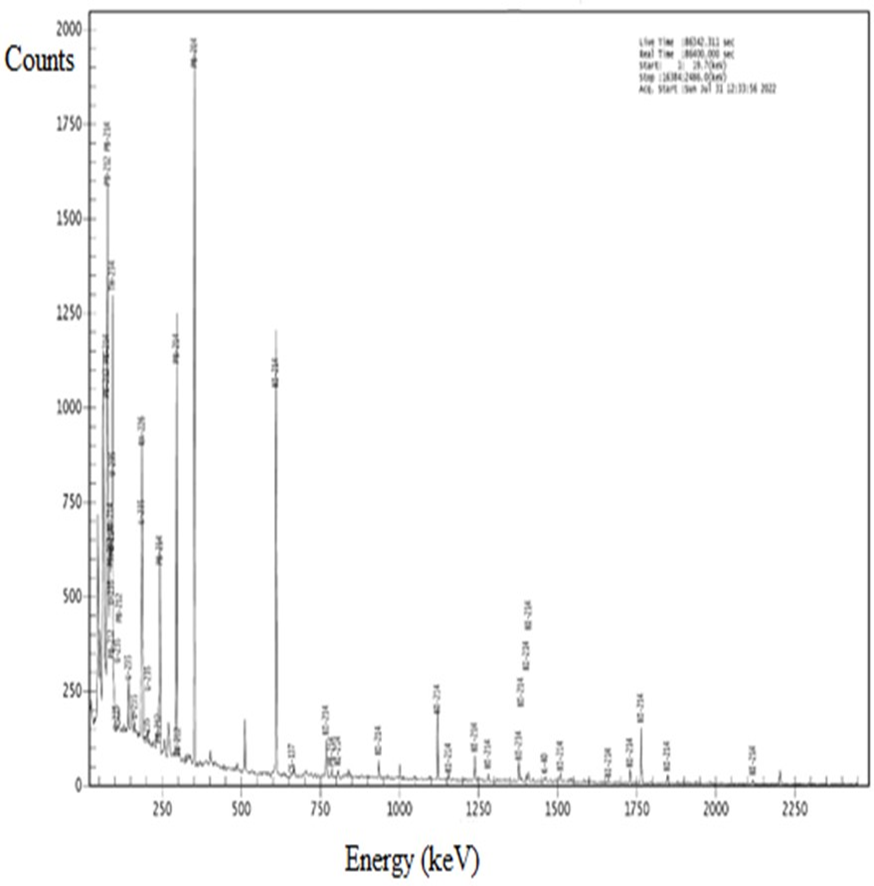 fortune-biomass-feedstock