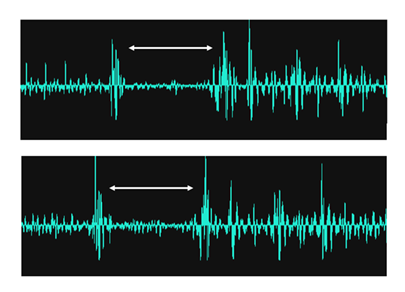 fortune-biomass-feedstock