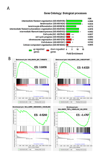 fortune-biomass-feedstock fortune-biomass-feedstock