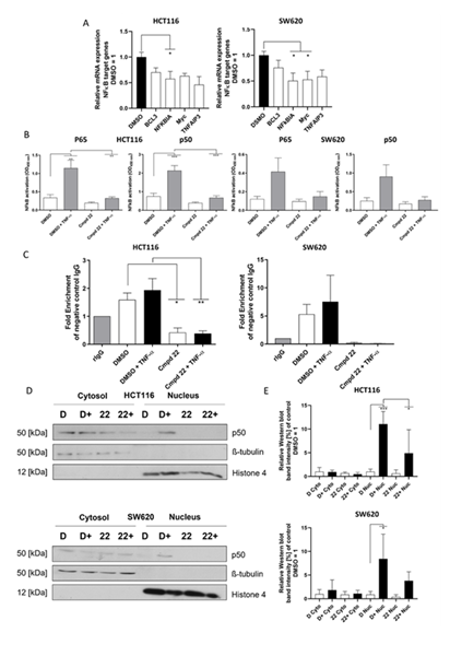 fortune-biomass-feedstock fortune-biomass-feedstock
