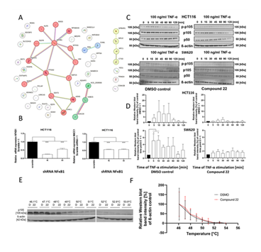 fortune-biomass-feedstock fortune-biomass-feedstock