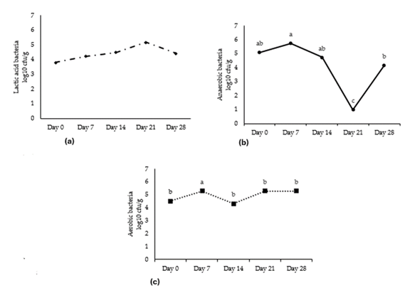 fortune-biomass-feedstock