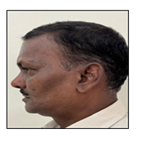 fortune-biomass-feedstock