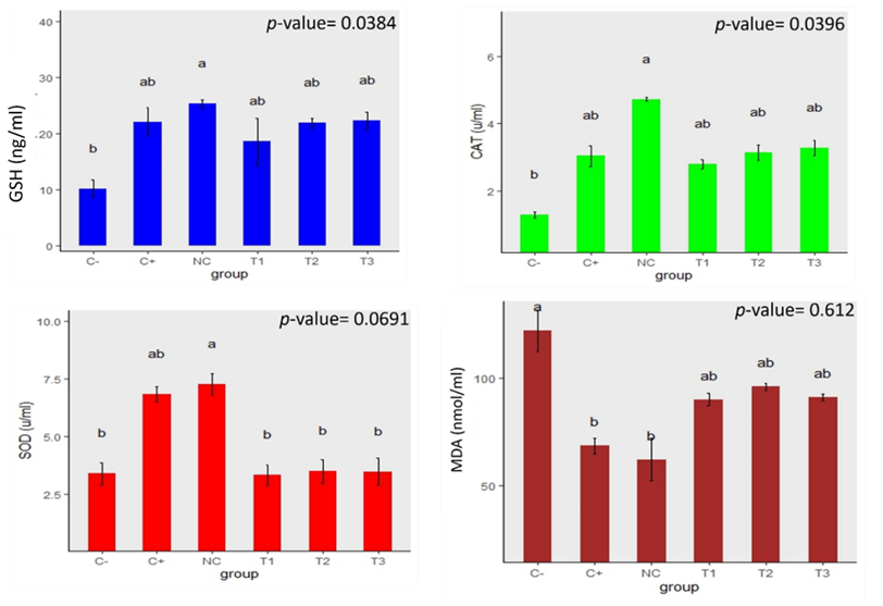 fortune-biomass-feedstock
