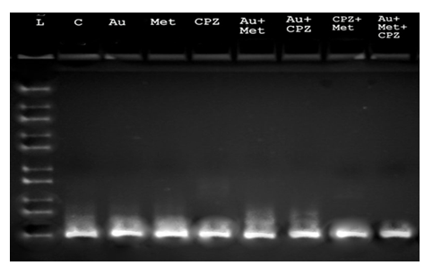 fortune-biomass-feedstock