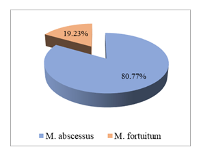 fortune-biomass-feedstock