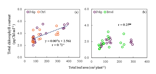 fortune-biomass-feedstock
