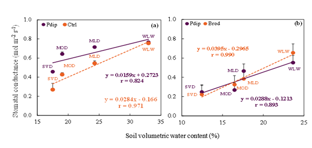 fortune-biomass-feedstock