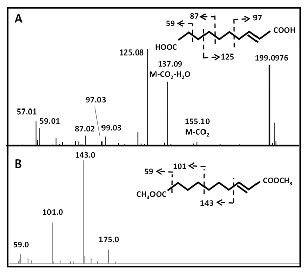 fortune-biomass-feedstock