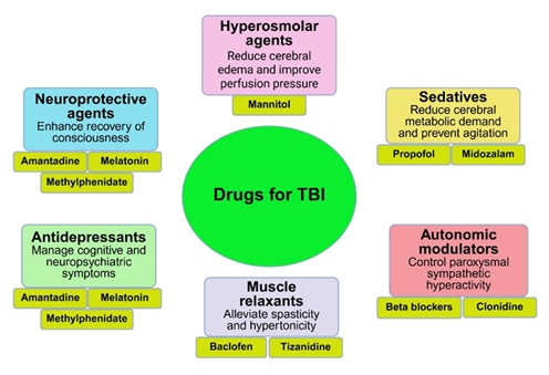 fortune-biomass-feedstock