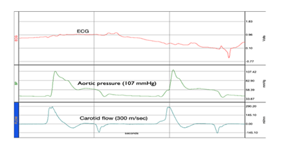 fortune-biomass-feedstock fortune-biomass-feedstock