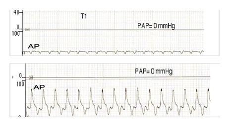 fortune-biomass-feedstock fortune-biomass-feedstock
