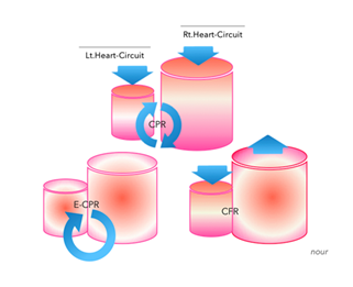 fortune-biomass-feedstock fortune-biomass-feedstock