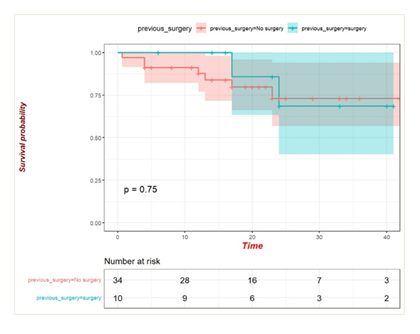 fortune-biomass-feedstock
