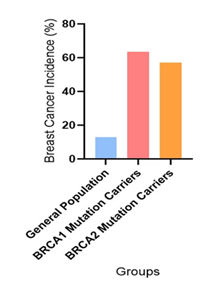fortune-biomass-feedstock fortune-biomass-feedstock